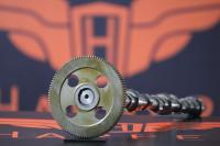 IMG_7834 IMG_7834