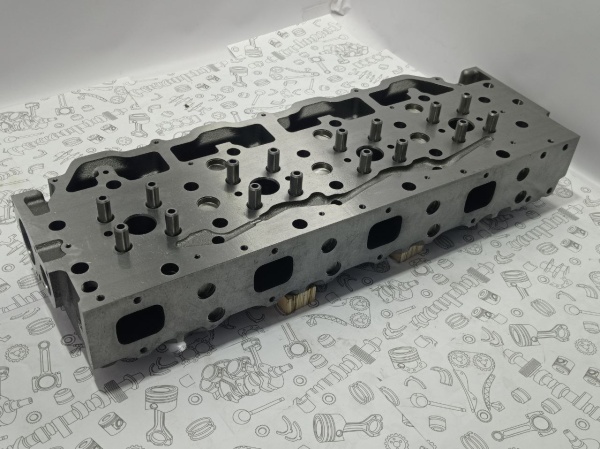 photo_7_2025-01-29_11-01-55