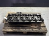 R23525566