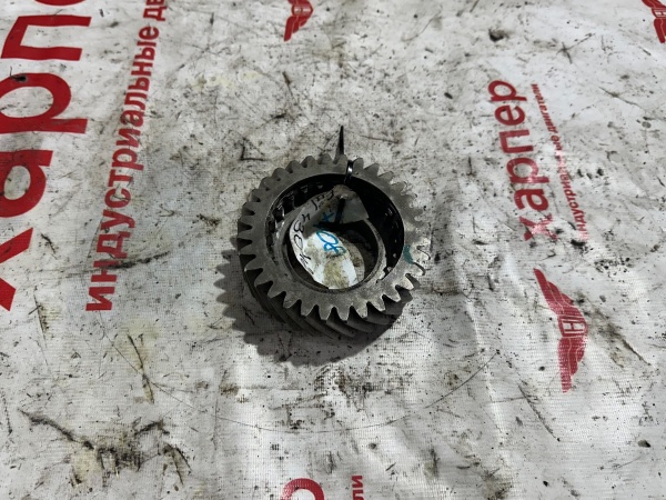4304266-2