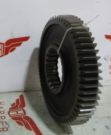 P1060178