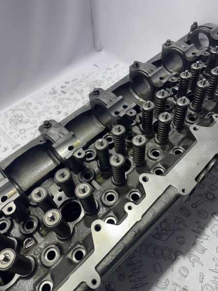 photo_22_2025-04-10_15-33-01