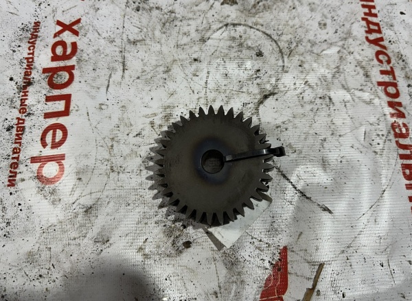 image-19-02-26-02-27-1