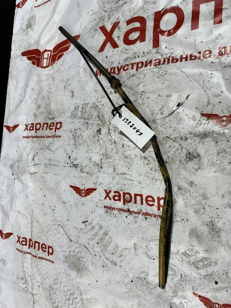 image-19-02-26-02-17-1