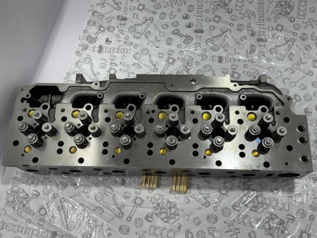 photo_69_2025-01-21_17-24-29