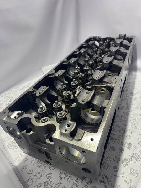 photo_39_2025-04-10_15-33-01