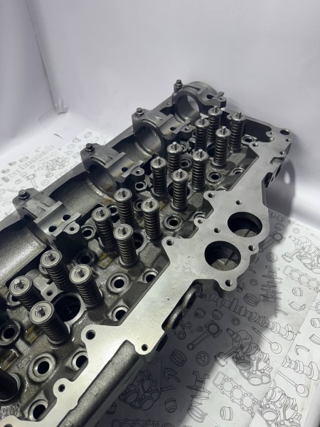 photo_19_2025-04-10_15-33-01